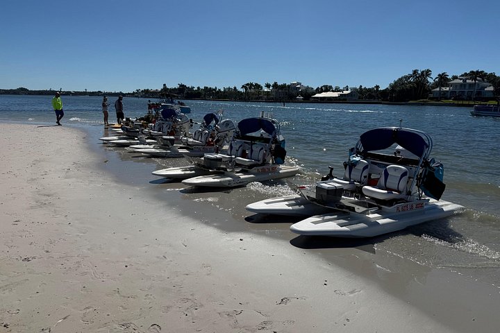 Experimente as vias navegáveis de Sarasota num emocionante passeio de catamarã CraigCat, explorando Lido Key e Bird Key, foto 35 | wizardtrip