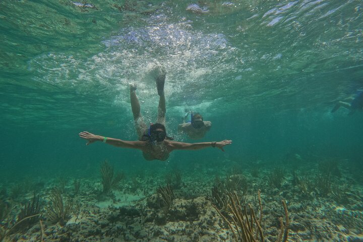 Croisière en Catamaran dans la Riviera Maya avec Snorkeling & Beach Club | wizardtrip
