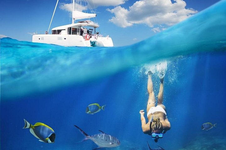Cruzeiro de catamarã com snorkel na Riviera Maya, México, com recifes de coral e vida marinha, foto 11 | wizardtrip