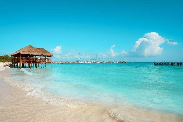 Cruzeiro de catamarã com snorkel na Riviera Maya, México, com recifes de coral e vida marinha, foto 13 | wizardtrip