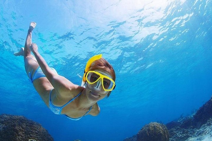 Cruzeiro de catamarã com snorkel na Riviera Maya, México, com recifes de coral e vida marinha, foto 15 | wizardtrip