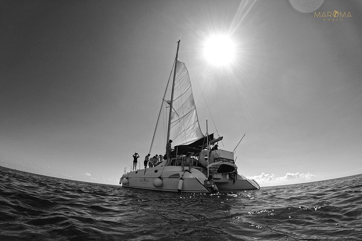 Cruzeiro de catamarã com snorkel na Riviera Maya, México, com recifes de coral e vida marinha, foto 18 | wizardtrip