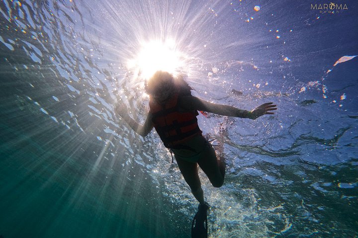 Cruzeiro de catamarã com snorkel na Riviera Maya, México, com recifes de coral e vida marinha, foto 19 | wizardtrip