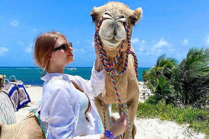 Balade à dos de chameau le long de la plage et à travers la jungle à Cancun, Mexique, photo 8 | wizardtrip