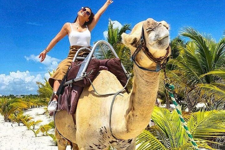 Balade à dos de chameau le long de la plage et à travers la jungle à Cancun, Mexique, photo 9 | wizardtrip