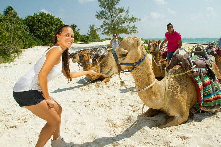 Balade à dos de chameau le long de la plage et à travers la jungle à Cancun, Mexique, photo 13 | wizardtrip