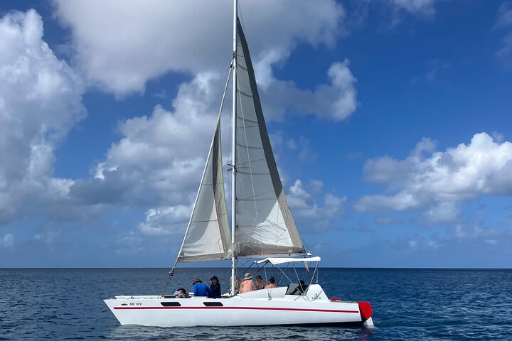 Catamaran snorkeling tour in Barbados with sea turtles and tropical fish, photo 2 | wizardtrip