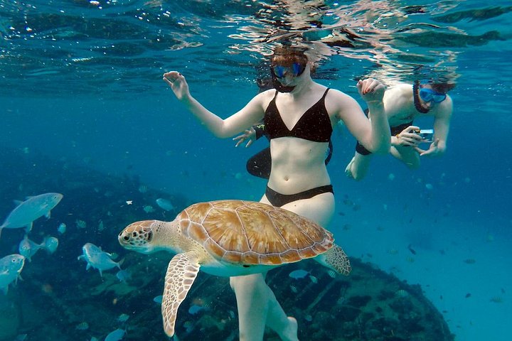 Catamaran snorkeling tour in Barbados with sea turtles and tropical fish, photo 6 | wizardtrip