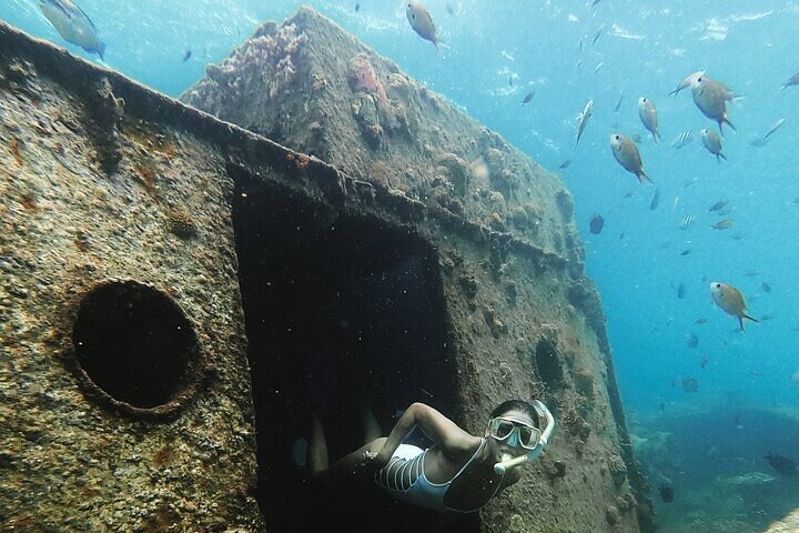 Catamaran snorkeling tour in Barbados with sea turtles and tropical fish, photo 9 | wizardtrip