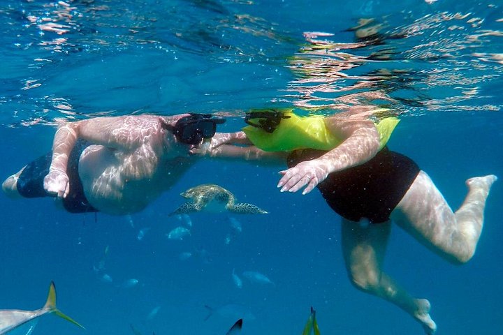 Catamaran snorkeling tour in Barbados with sea turtles and tropical fish, photo 10 | wizardtrip
