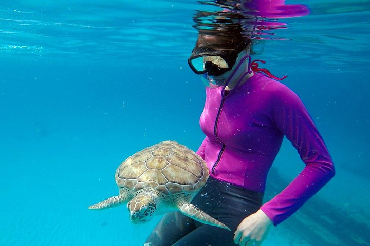 Catamaran snorkeling tour in Barbados with sea turtles and tropical fish, photo 12 | wizardtrip