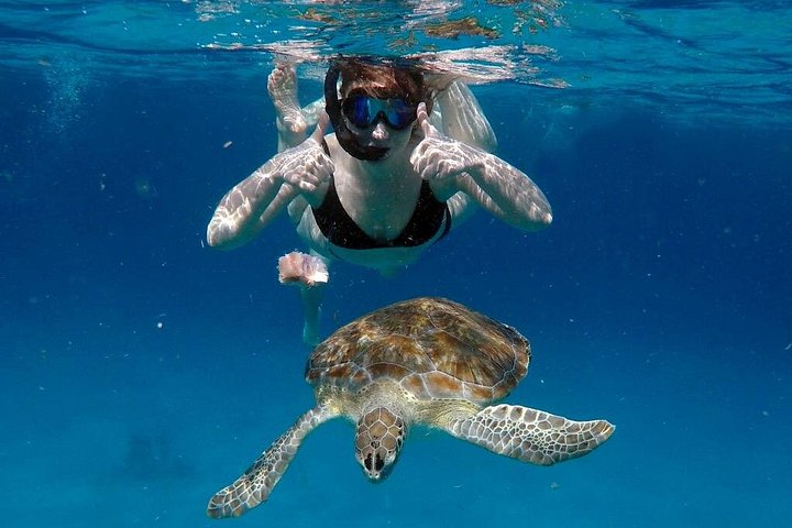 Catamaran snorkeling tour in Barbados with sea turtles and tropical fish, photo 13 | wizardtrip