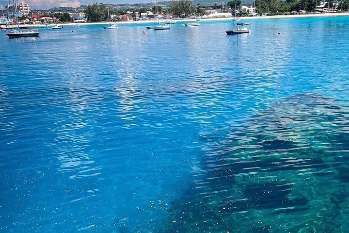 Catamaran snorkeling tour in Barbados with sea turtles and tropical fish, photo 17 | wizardtrip
