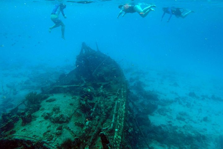Catamaran snorkeling tour in Barbados with sea turtles and tropical fish, photo 21 | wizardtrip