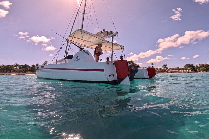 Catamaran snorkeling tour in Barbados with sea turtles and tropical fish, photo 36 | wizardtrip