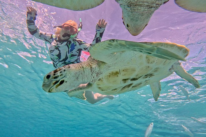 Catamaran snorkeling tour in Barbados with sea turtles and tropical fish, photo 39 | wizardtrip