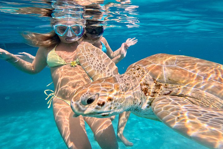 Catamaran snorkeling tour in Barbados with sea turtles and tropical fish, photo 40 | wizardtrip