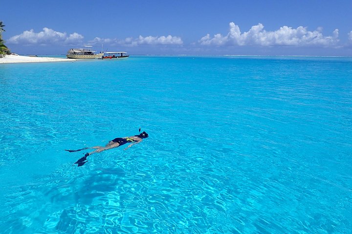 Gemeinsame Bootsschnorcheltour in der Lagune von Bora Bora mit Sichtungen von Meereslebewesen, Foto 7 | wizardtrip