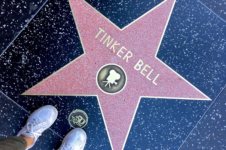 Visite d'une journée des sites emblématiques de LA, y compris Hollywood, Beverly Hills et les plages, photo 32 | wizardtrip