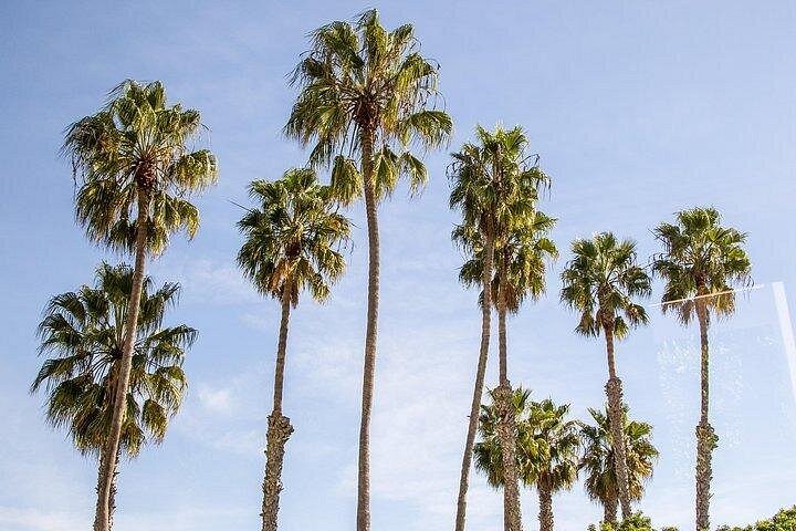 Visite d'une journée des sites emblématiques de LA, y compris Hollywood, Beverly Hills et les plages, photo 33 | wizardtrip