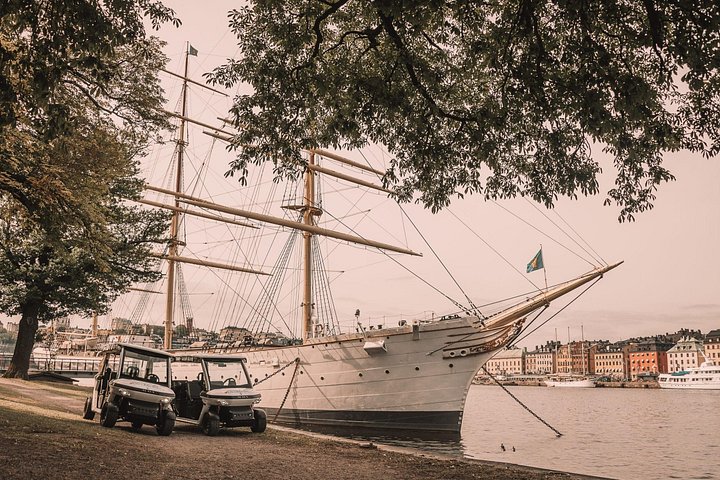 Tour privado en coche de golf por los monumentos y la costa de Estocolmo, foto 6 | wizardtrip