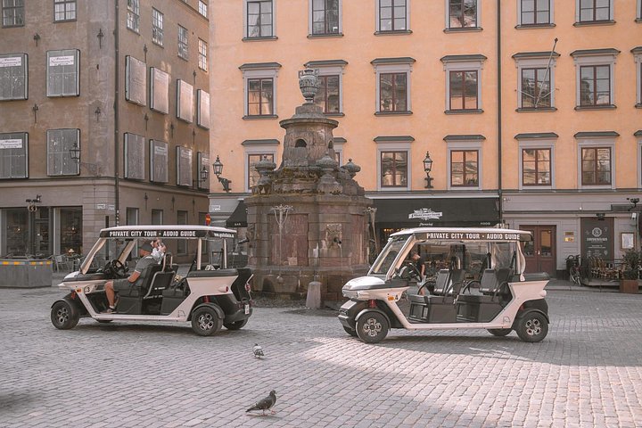 Tour privado en coche de golf por los monumentos y la costa de Estocolmo, foto 7 | wizardtrip