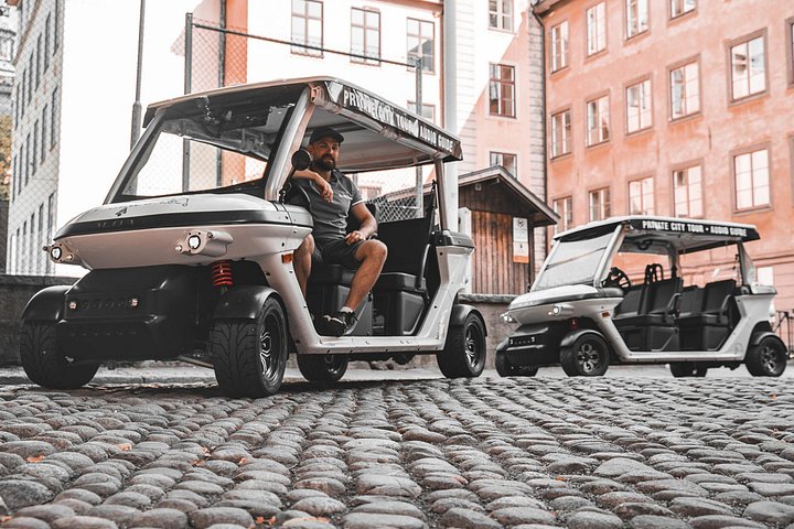 Tour privado en coche de golf por los monumentos y la costa de Estocolmo, foto 8 | wizardtrip