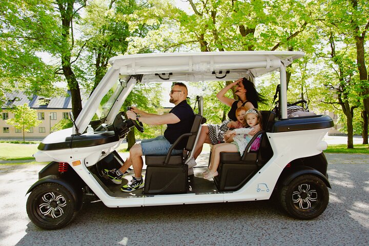 Tour privado en coche de golf por los monumentos y la costa de Estocolmo, foto 9 | wizardtrip