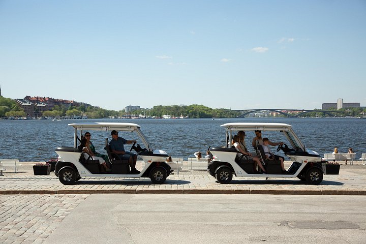 Tour privado en coche de golf por los monumentos y la costa de Estocolmo, foto 11 | wizardtrip