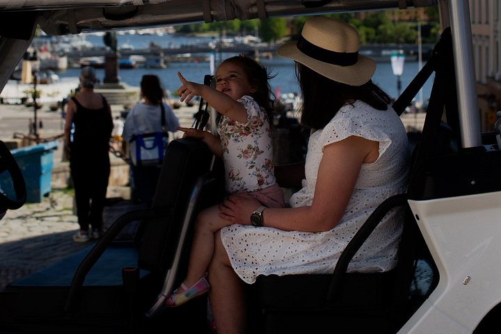 Tour privado en coche de golf por los monumentos y la costa de Estocolmo, foto 12 | wizardtrip
