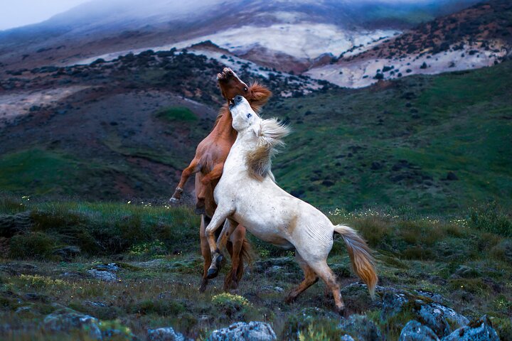 Tour di gruppo ristretto del Golden Circle islandese, inclusi Thingvellir, Geysir, Gullfoss e il cratere Kerið, foto 10 | wizardtrip