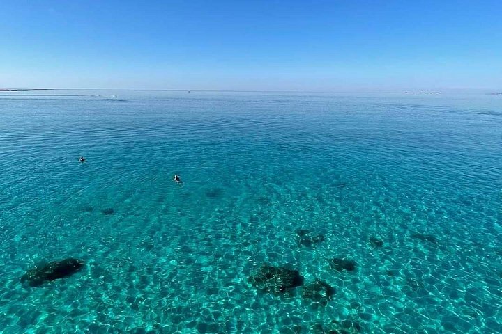 Excursion en bateau d'une journée explorant le littoral, les plages et les eaux turquoise de Céphalonie, photo 12 | wizardtrip