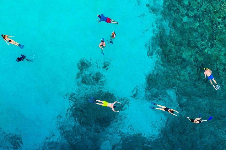 Passeio de barco ao Arco e snorkeling em Cabo San Lucas, México, foto 6 | wizardtrip