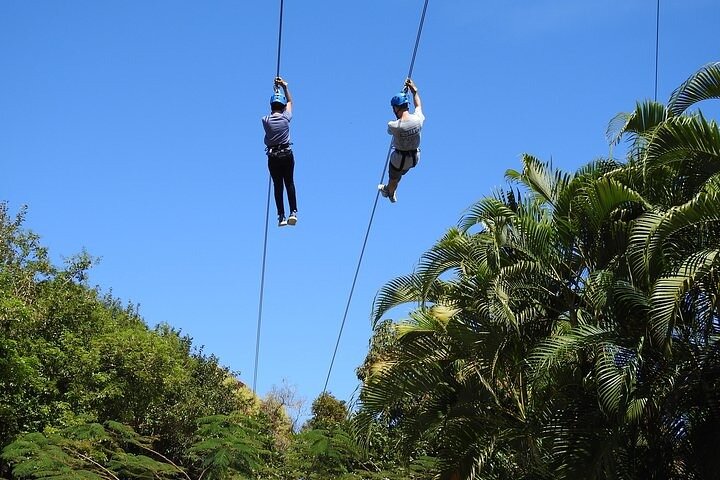 Zipline-äventyr genom den frodiga regnskogen i Puerto Rico, foto 8 | wizardtrip