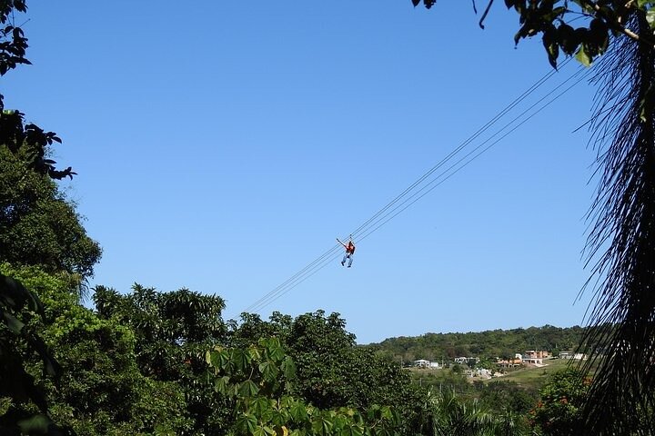 Zipline-äventyr genom den frodiga regnskogen i Puerto Rico, foto 9 | wizardtrip