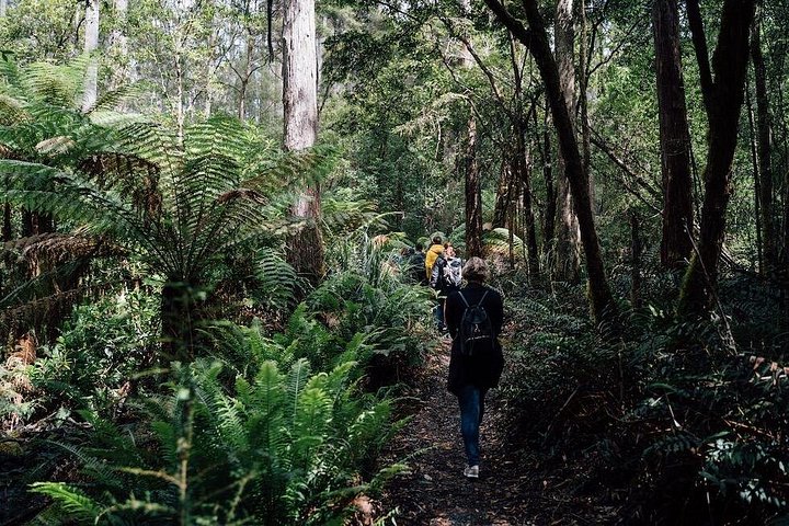 Begeleide dagtour naar Bruny Island vanuit Hobart, met natuur en lokale producten, foto 7 | wizardtrip