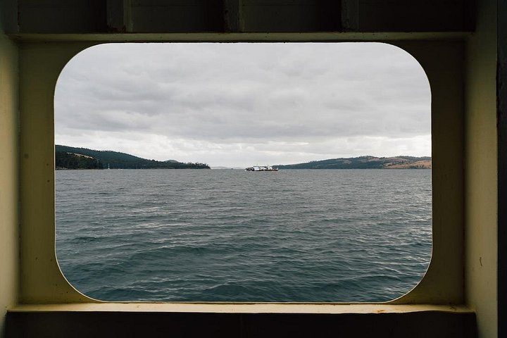 Begeleide dagtour naar Bruny Island vanuit Hobart, met natuur en lokale producten, foto 8 | wizardtrip