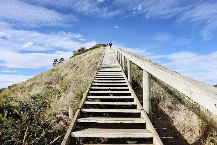 Begeleide dagtour naar Bruny Island vanuit Hobart, met natuur en lokale producten, foto 9 | wizardtrip