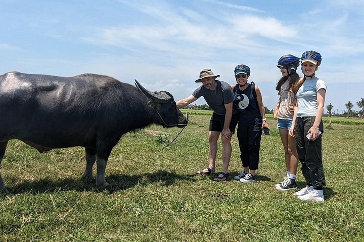 Hoi An Countryside Cycling Tour with Basket Boat & Fun Cooking | wizardtrip