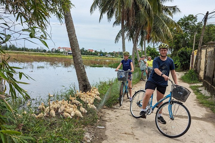 Recorriendo la exuberante campiña de Hoi An en bicicleta, experimentando barcos cesta y disfrutando de una clase de cocina, foto 9 | wizardtrip