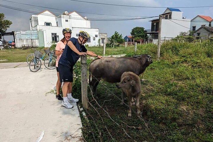 Recorriendo la exuberante campiña de Hoi An en bicicleta, experimentando barcos cesta y disfrutando de una clase de cocina, foto 13 | wizardtrip