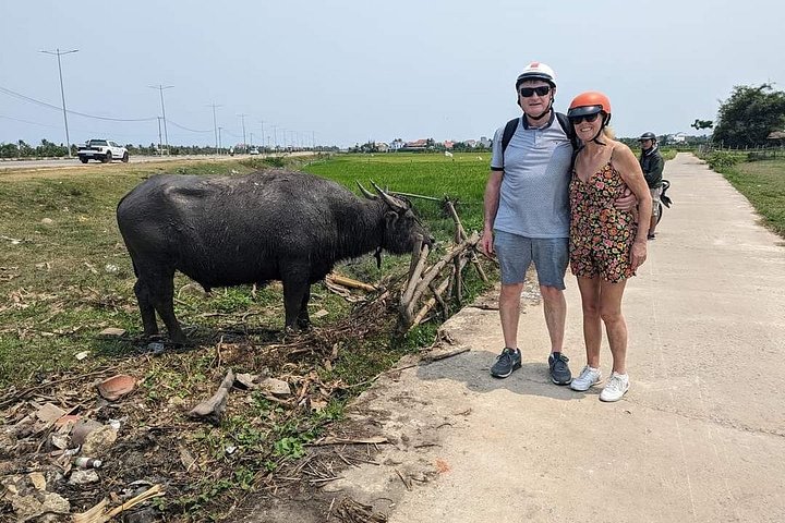 Recorriendo la exuberante campiña de Hoi An en bicicleta, experimentando barcos cesta y disfrutando de una clase de cocina, foto 18 | wizardtrip
