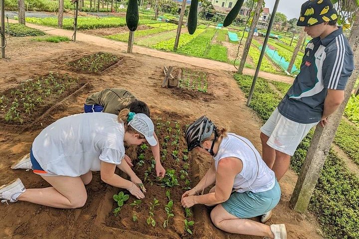 Recorriendo la exuberante campiña de Hoi An en bicicleta, experimentando barcos cesta y disfrutando de una clase de cocina, foto 20 | wizardtrip