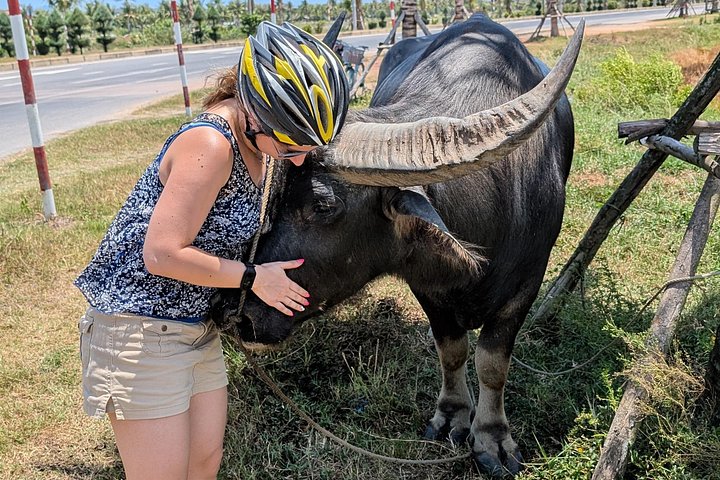 Recorriendo la exuberante campiña de Hoi An en bicicleta, experimentando barcos cesta y disfrutando de una clase de cocina, foto 22 | wizardtrip