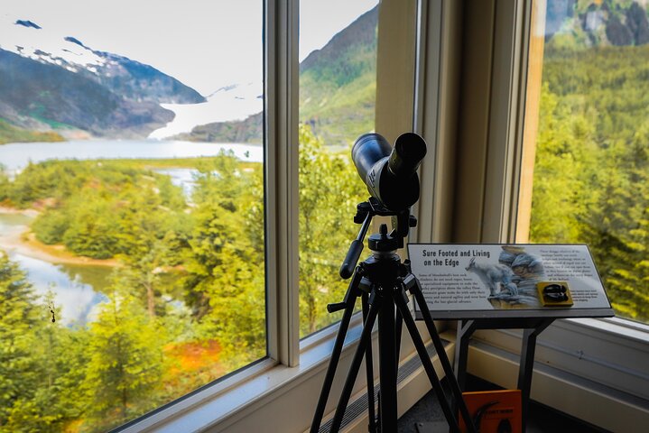 Excursion panoramique en bus vers le glacier Mendenhall à Juneau, Alaska, offrant des vues sur le glacier et l'accès au centre d'accueil, photo 6 | wizardtrip
