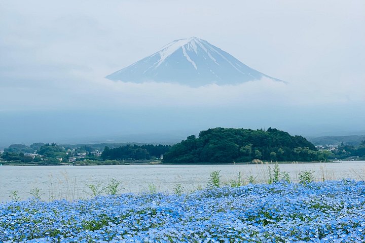 Privat tur til Fuji-bjerget fra Tokyo med naturskøn udsigt, søer og kulturelle steder, foto 8 | wizardtrip