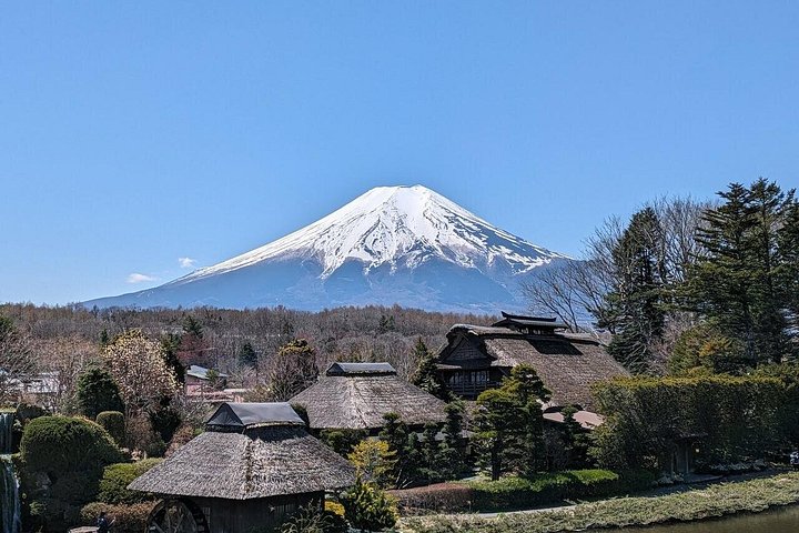 Privat tur til Fuji-bjerget fra Tokyo med naturskøn udsigt, søer og kulturelle steder, foto 10 | wizardtrip