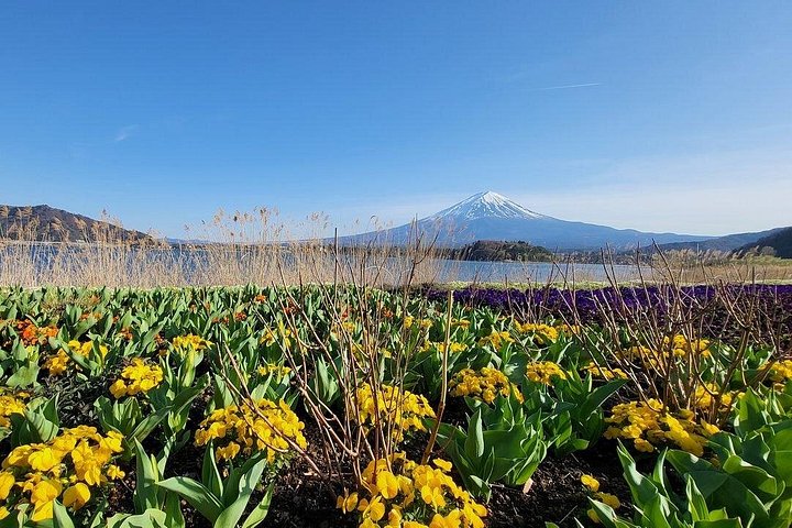Privat tur til Fuji-bjerget fra Tokyo med naturskøn udsigt, søer og kulturelle steder, foto 11 | wizardtrip