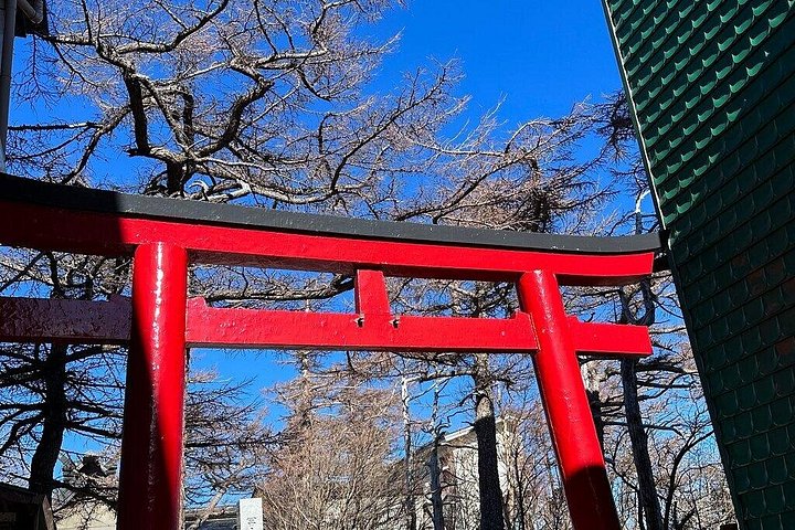 Privat tur til Fuji-bjerget fra Tokyo med naturskøn udsigt, søer og kulturelle steder, foto 12 | wizardtrip