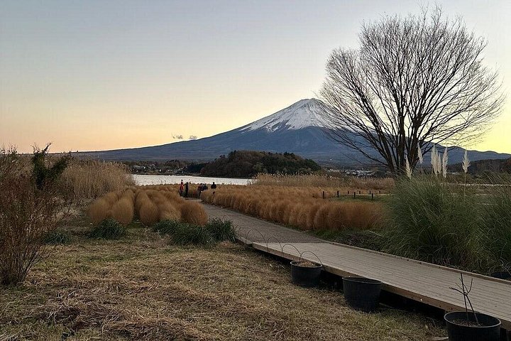 Privat tur til Fuji-bjerget fra Tokyo med naturskøn udsigt, søer og kulturelle steder, foto 13 | wizardtrip